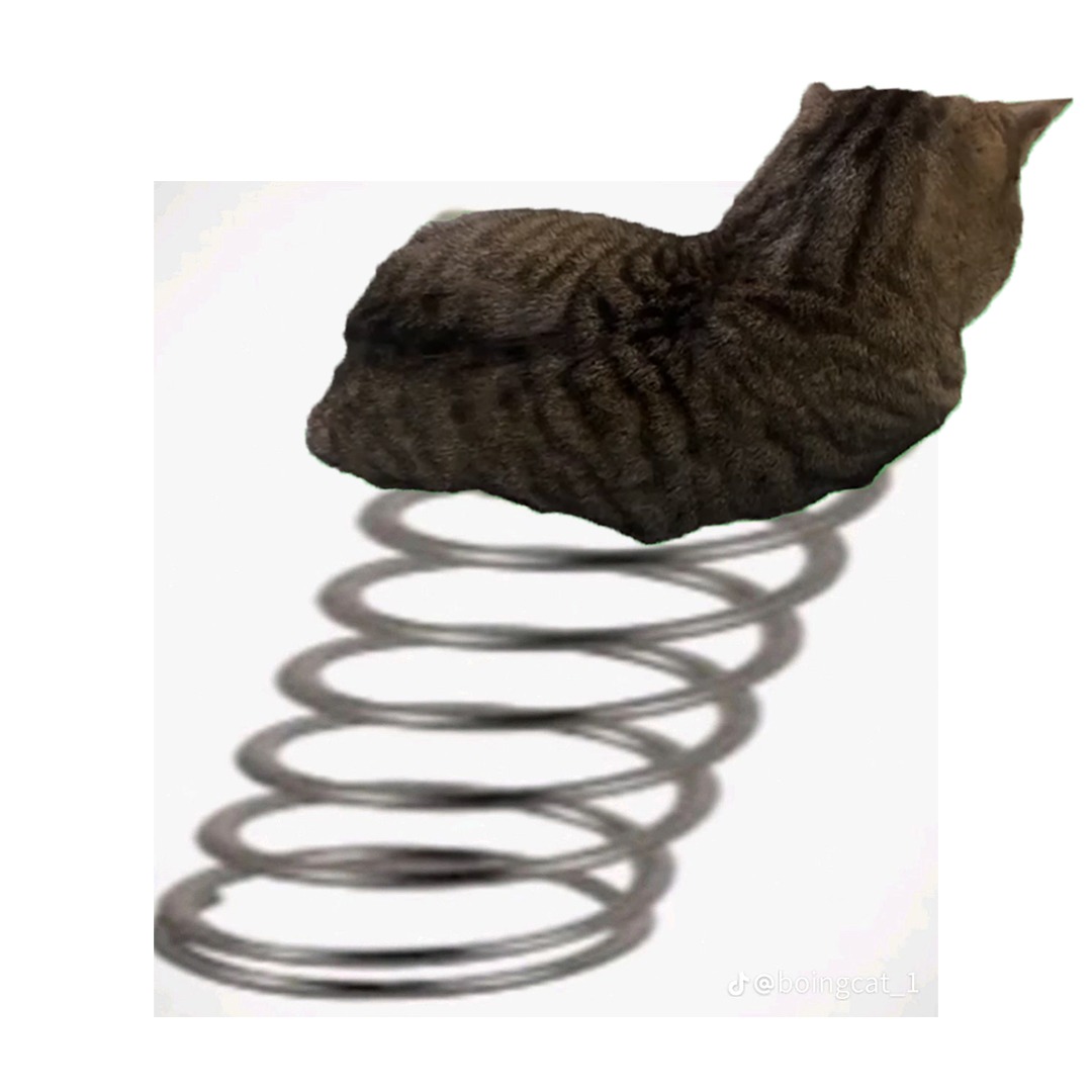 Boing Cat 1
